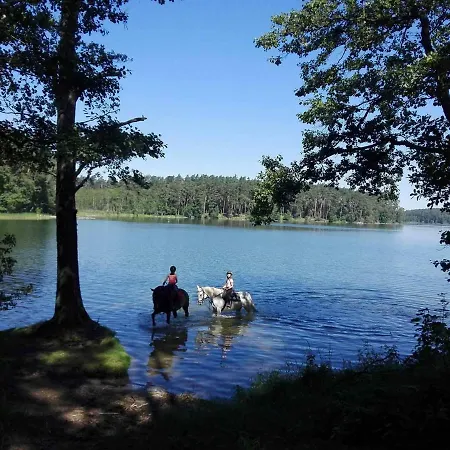 Stajnia Okser Gospodarstwo agroturystyczne