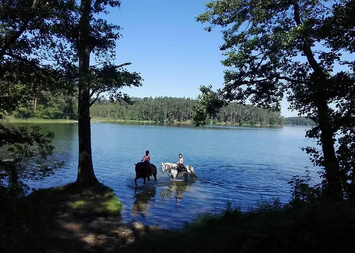 Stajnia Okser Gospodarstwo agroturystyczne