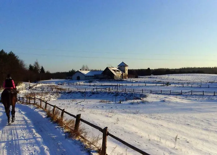 Stajnia Okser Gospodarstwo agroturystyczne